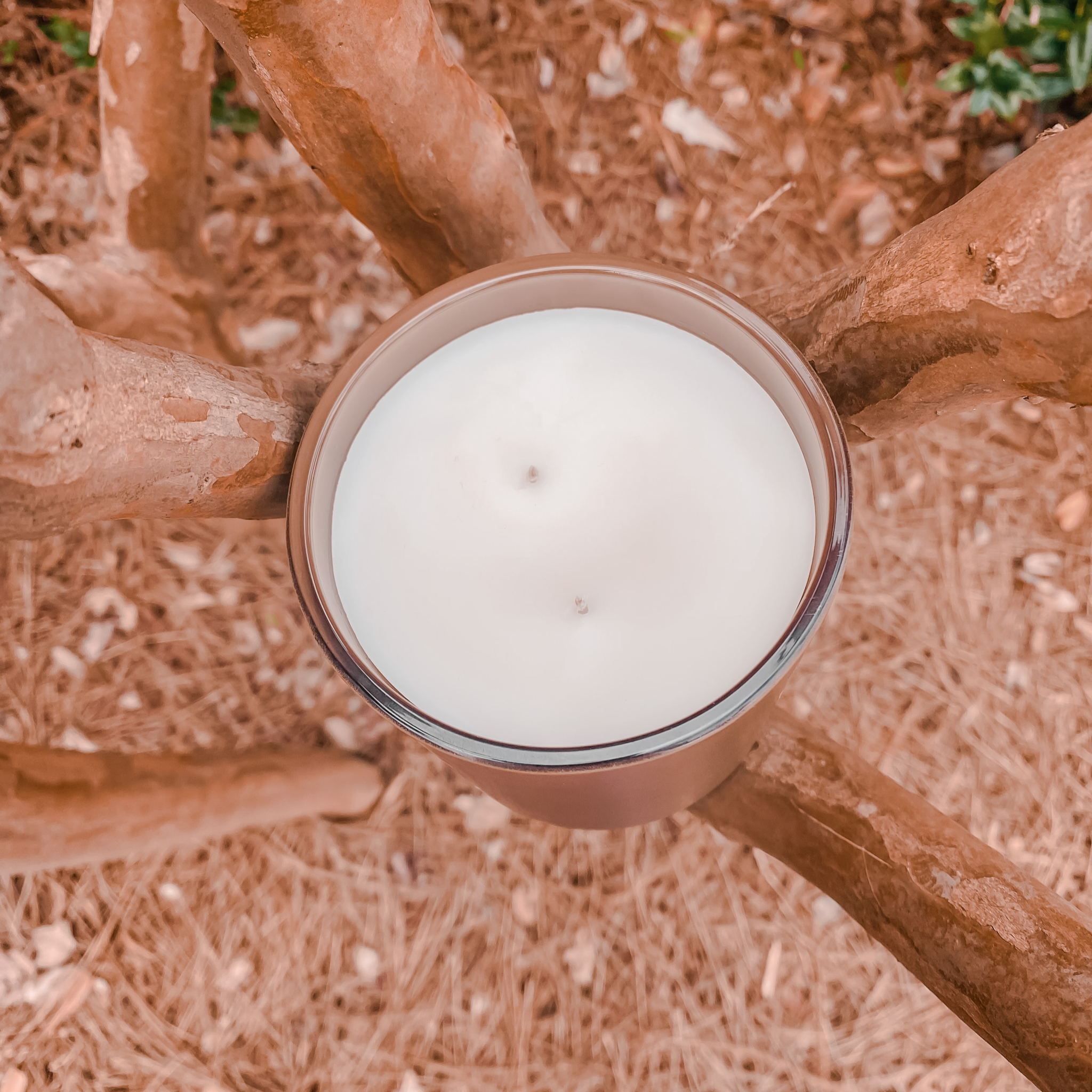 Redwood Forest Candle Scents of Citrus Cedarwood Amber